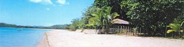 Ferienanlage am Strand von Busuanga Island zum Kaufen