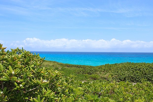 Bauland mit Meerblick auf Long Island Bahamas