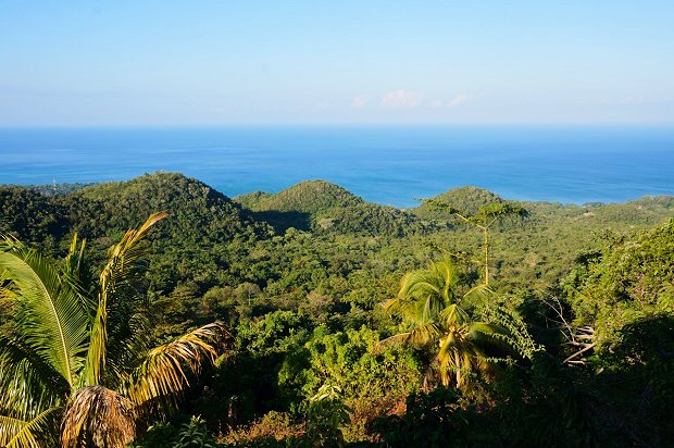 Grundstck mit Hgeln und Berge in Bluefields Jamaika