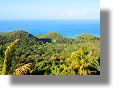 Grundstcke der Karibik in Jamaika kaufen vom Immobilienmakler Mittelamerika