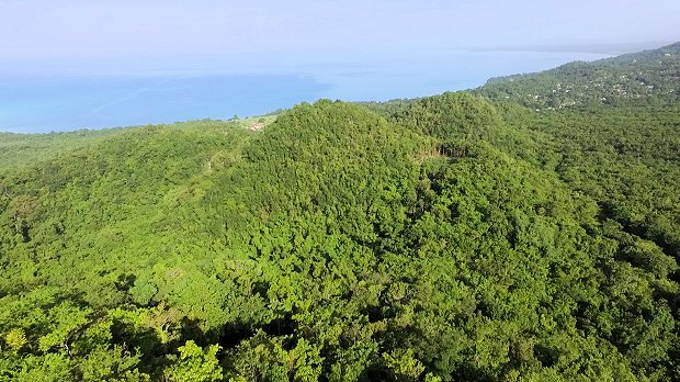 Berg vom Baugrundstck mit Meerblick in Bluefields Jamaika