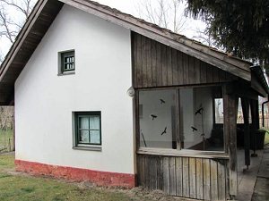 Bauernhof mit Gstehaus in Ungarn zum Kaufen
