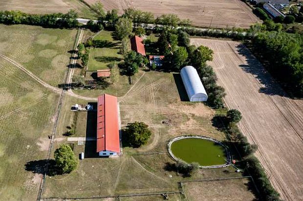Bauernhof in Ungarn zum Kaufen