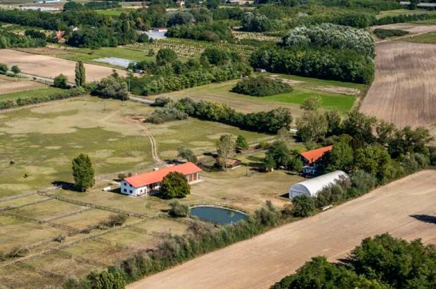 Gehft Bauernhof bei Kecskemet mit Wohnhaus in Ungarn zum Kaufen
