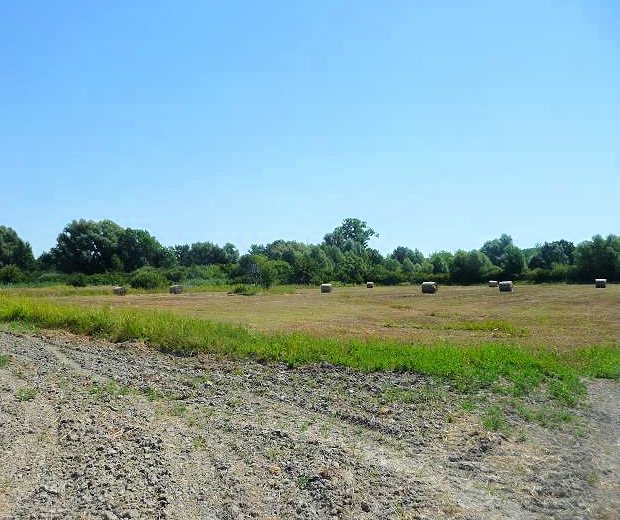 Grasland Weideland in Ungarn zum Kaufen