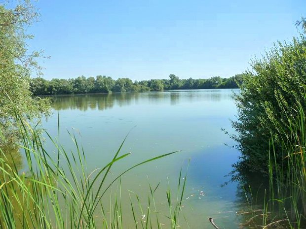 Teich See in Ungarn zum Kaufen