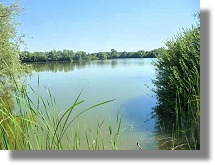 See Teich in Sdungarn kaufen vom Immobilienmakler