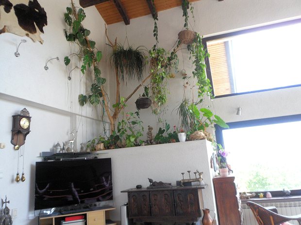 Einfamilienhaus in Zagreb