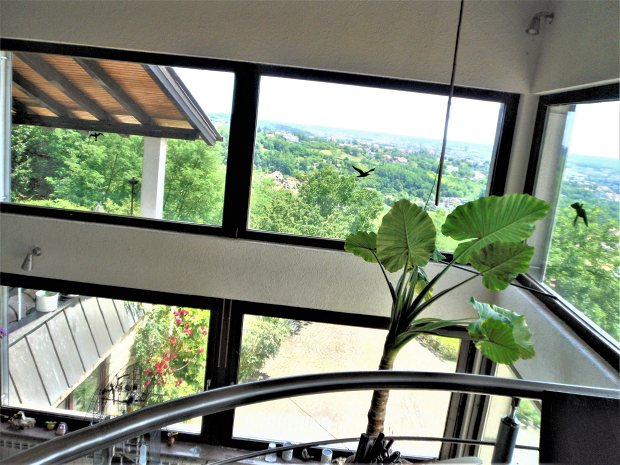 Galerie des Wohnhauses