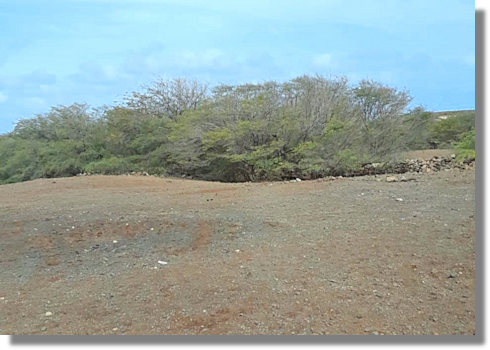 Grundstücke in Morro der Insel Maio Kap Verde