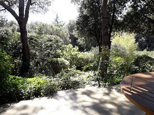 Garten vom Wohnhaus in Rovinj Kroatien