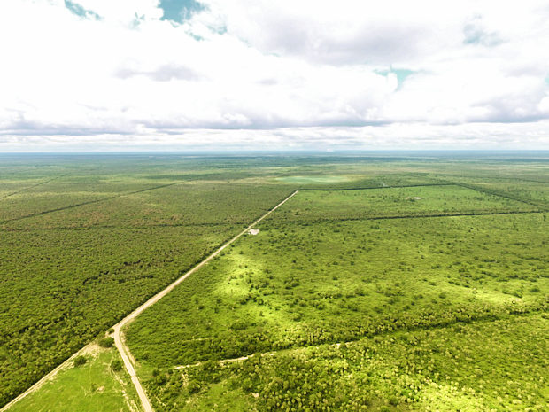 Estancia Farmland im Presidente Hayes in Paraguay zum Kaufen