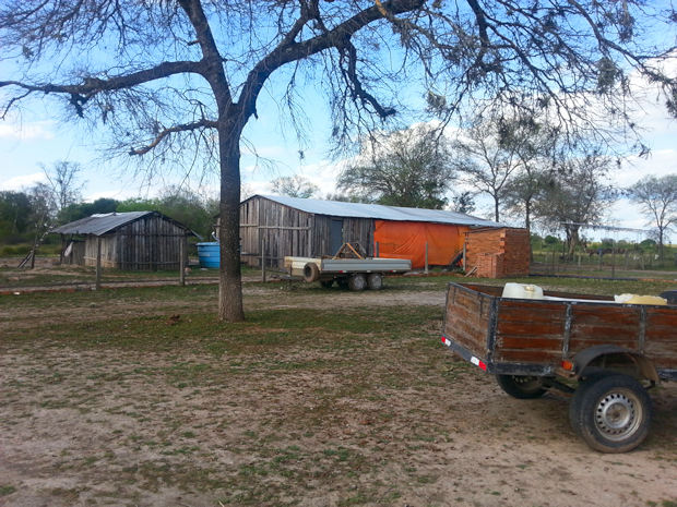 Cattle Ranch in Paraguay