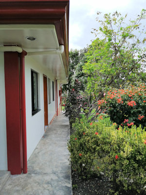 Wohnhaus mit tropischen Garten