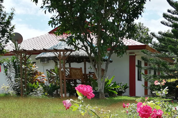 Wohnhaus mit Garage und kleinem Pool in Badian Cebu