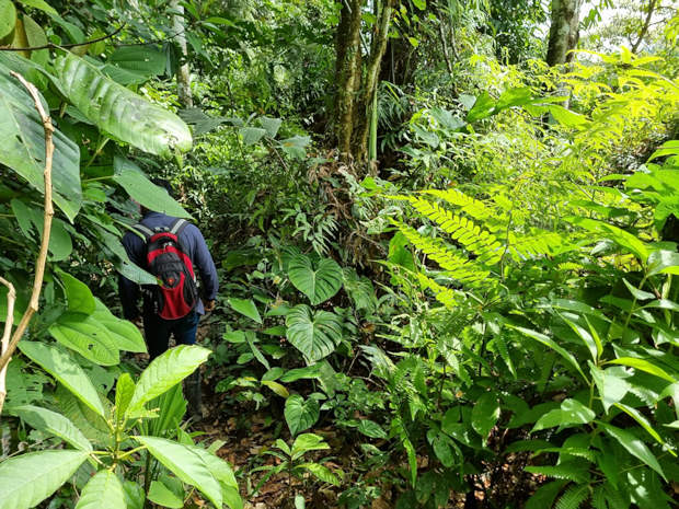 Trip durch den Regenwald in Ecuador