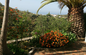 Ausblick vom Einfamilienhaus auf das Grundst�ck