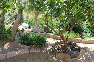 Garten vom Einfamilienhaus