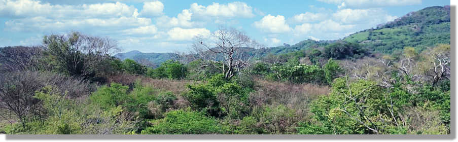 Farmland in El Salvador zum Kaufen vom Immobilienmakler