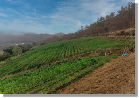 Plantage Farmland Grundstck fr Landwirtschaft in El Salvador