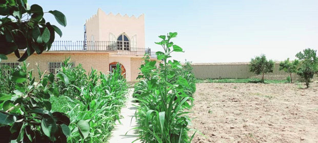 Einfamilienhaus mit Garten in Afghanistan