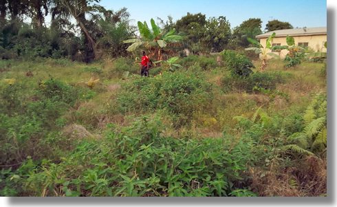 Grundstck im Kwabre District bei Kumasi in Ghana zum Kaufen