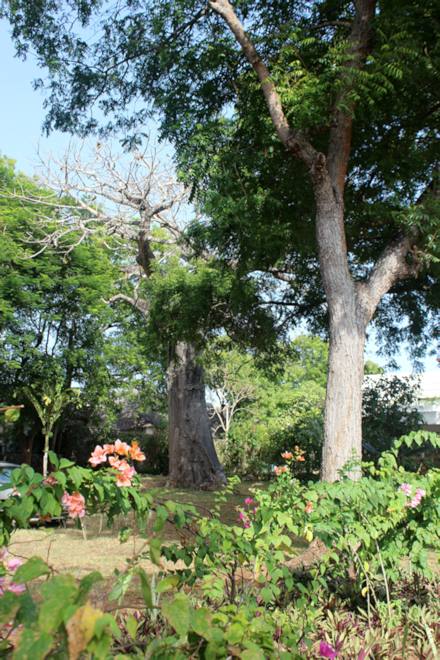 Garten der Lodge in Kenia