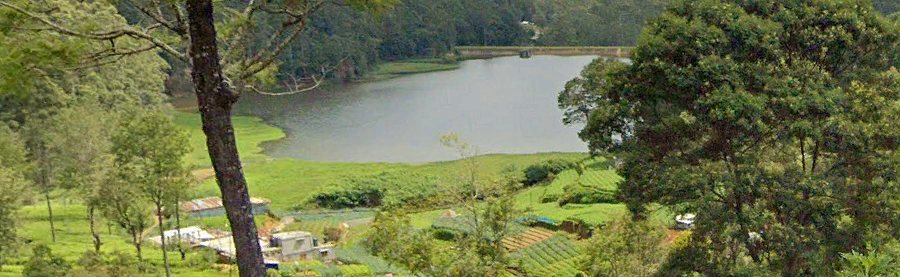 Stausee der Teeplantage in Sri Lanka