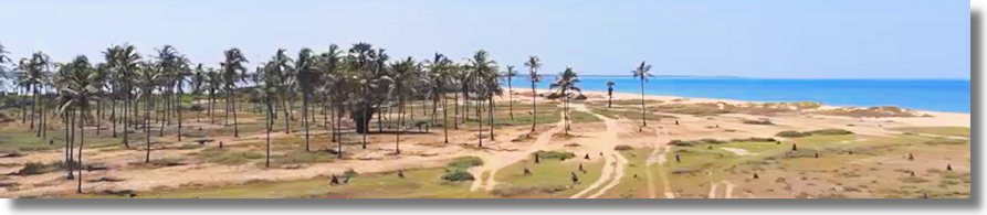 Grundstück am Meer Dutch Bay bei Kalpitiya Sri Lanka zum Kaufen vom Immobilienmakler Asien