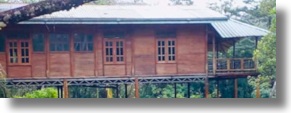 Ferienhaus im Regenwald von Sri Lanka zum Kaufen