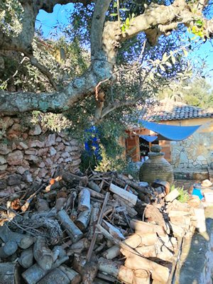 Holzvorrat vom Landhaus bei Koroni