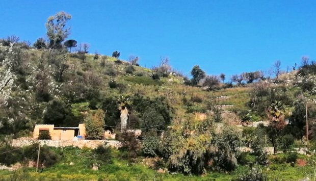 Grundst�ck zum Ausbauhaus in Agia Kiriaki Epirus Griechenland