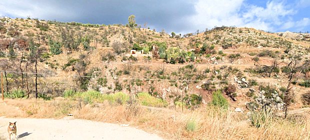 Blick zum Landhaus von der Stra�e