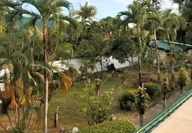 Gartern der Huser auf Panay Philippinen