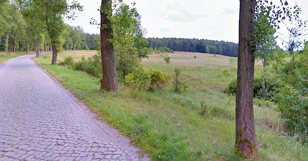 Baugrundstck am Waldrand von Zary Polen
