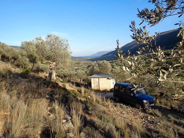 Grundstück in leichter Hanglage Grundstück in leichter Hanglage