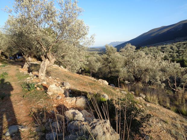 das Baugrundstück auf Peloponnes das Baugrundstück auf Peloponnes