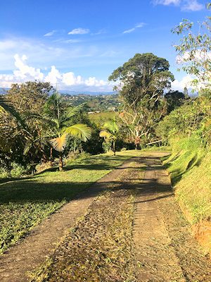 Zufahrt zum Gstehaus