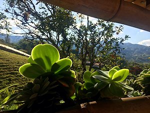 Balkon vom Gstezimmer