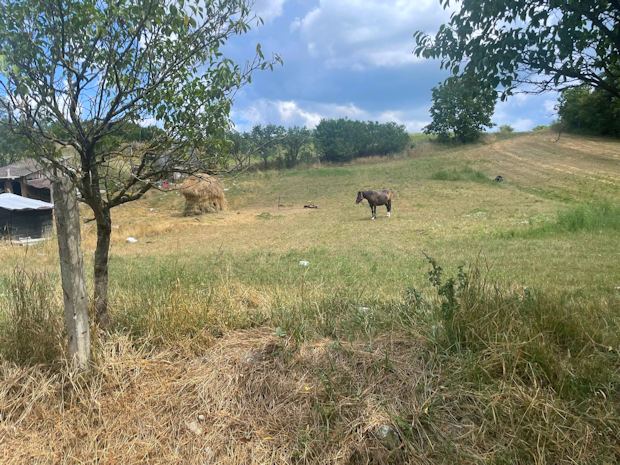 Grunds�ck des Ausbauhauses