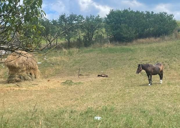 Grundst�ck Garten vom Ausbauhaus