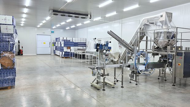 moderne Lagerhalle der Plantagen moderne Lagerhalle der Plantagen