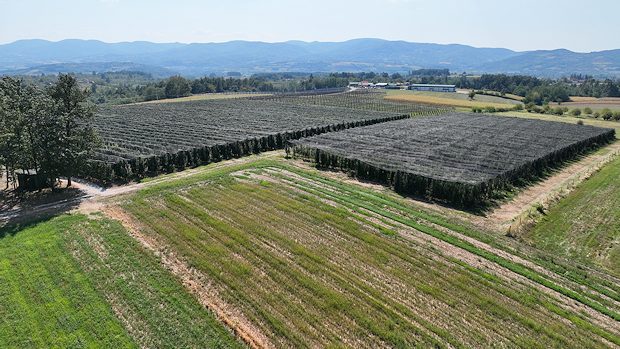 Apfelfarm in Serbien zum Kaufen Apfelfarm in Serbien zum Kaufen