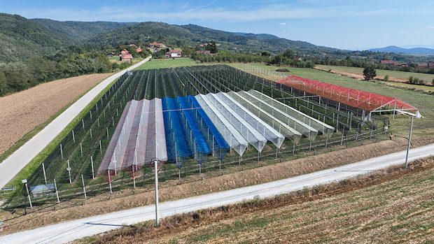 Blaubeerplantage in Serbien zum Kaufen Blaubeerplantage in Serbien zum Kaufen