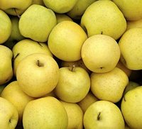 Äpfel der Apfelplantage in Serbien Äpfel der Apfelplantage in Serbien