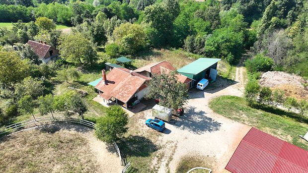 Reitanlage der Plantage in Serbien Reitanlage der Plantage in Serbien