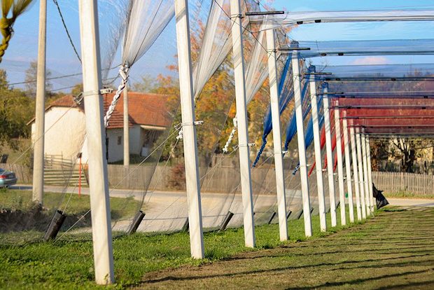 Hagelnetzmontagen für Apfelplantagen Hagelnetzmontagen für Apfelplantagen