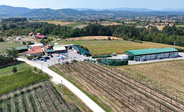 Apfelplantage in Serbien zum Kaufen Apfelplantage in Serbien zum Kaufen