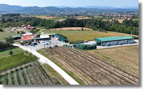 Apfelplantage in Serbien zum Kaufen