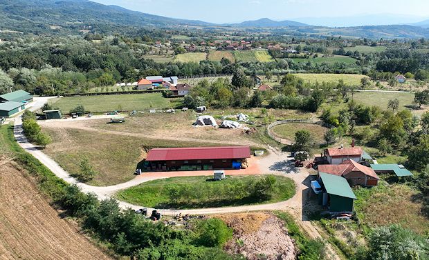 Pferdehaltung der Apfelplantage in Serbien Pferdehaltung der Apfelplantage in Serbien